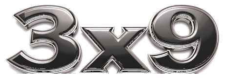 3x9 logo